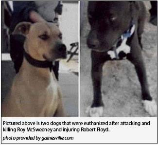 Dog Bite, Personal Injury